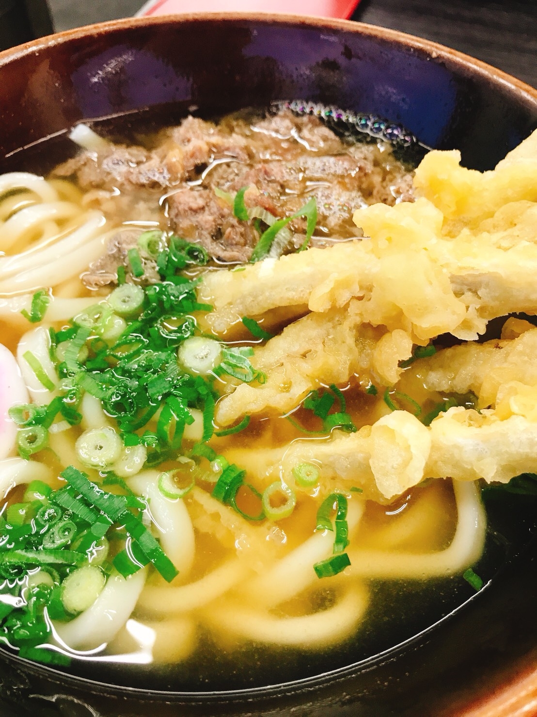 資さんうどん　ごぼ天肉うどん